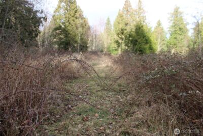 1 Semiahmoo Parkway , Blaine, WA 98230 - Photo 15