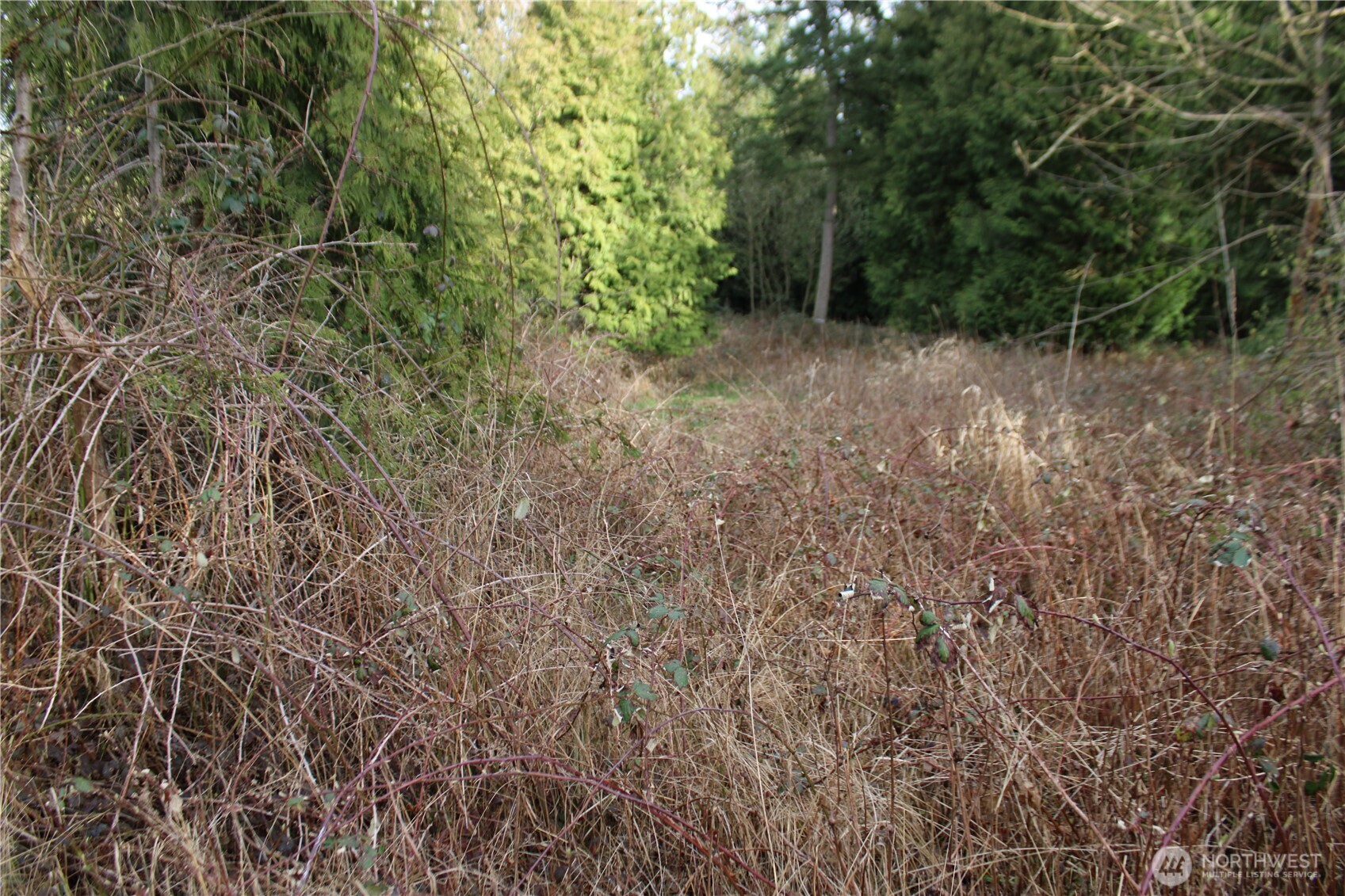 1 Semiahmoo Parkway , Blaine, WA 98230