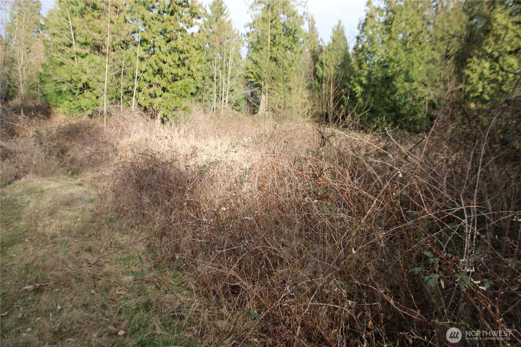 1 Semiahmoo Parkway , Blaine, WA 98230