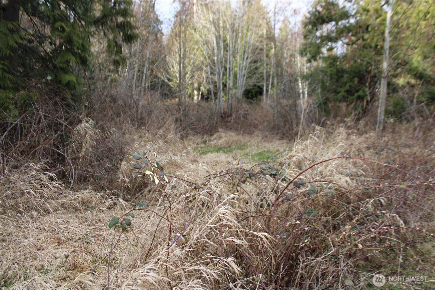 1 Semiahmoo Parkway , Blaine, WA 98230