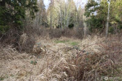 1 Semiahmoo Parkway , Blaine, WA 98230 - Photo 19