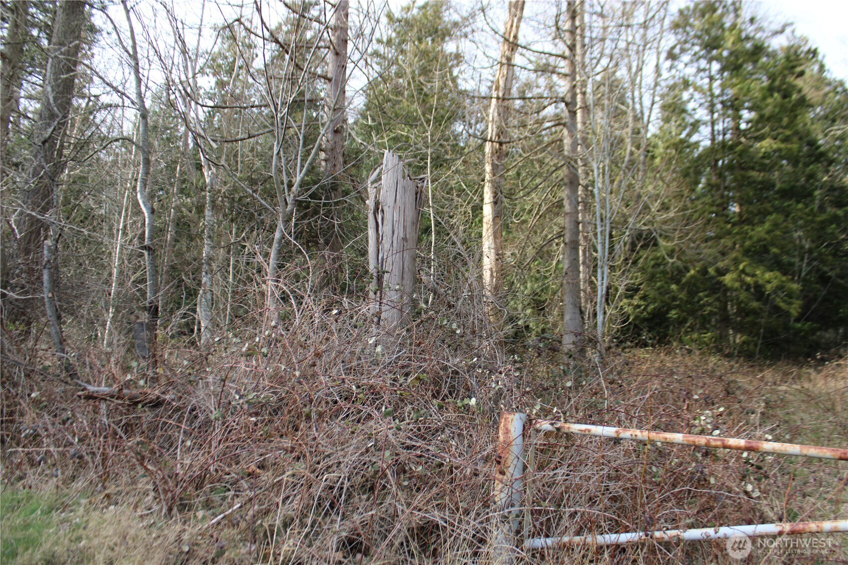 1 Semiahmoo Parkway , Blaine, WA 98230