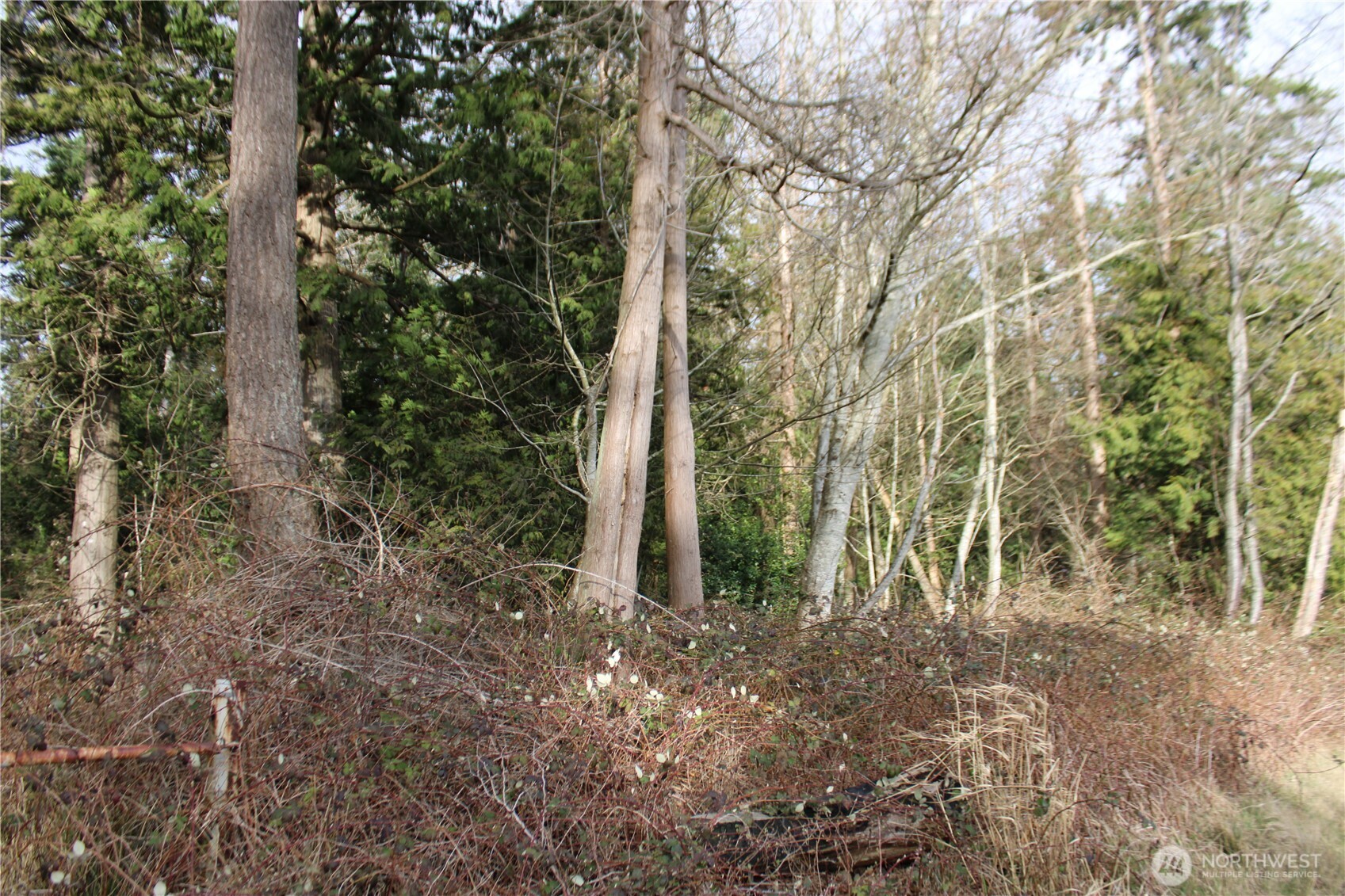 1 Semiahmoo Parkway , Blaine, WA 98230