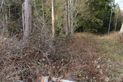 1 Semiahmoo Parkway , Blaine, WA 98230 - Photo 10