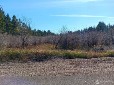 1610 147th Place , Long Beach, WA 98631 - Photo 1