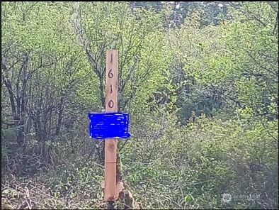 1610 147th Place , Long Beach, WA 98631