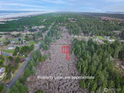 1610 147th Place , Long Beach, WA 98631 - Photo 4