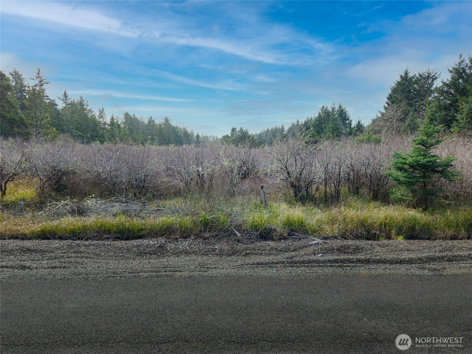 1610 147th Place , Long Beach, WA 98631