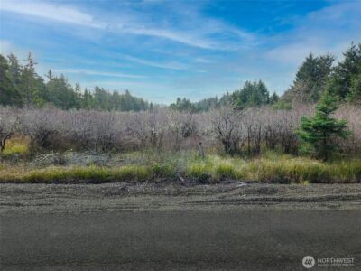1610 147th Place , Long Beach, WA 98631 - Photo 8