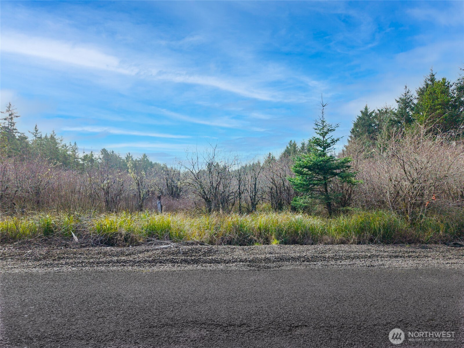 1610 147th Place , Long Beach, WA 98631