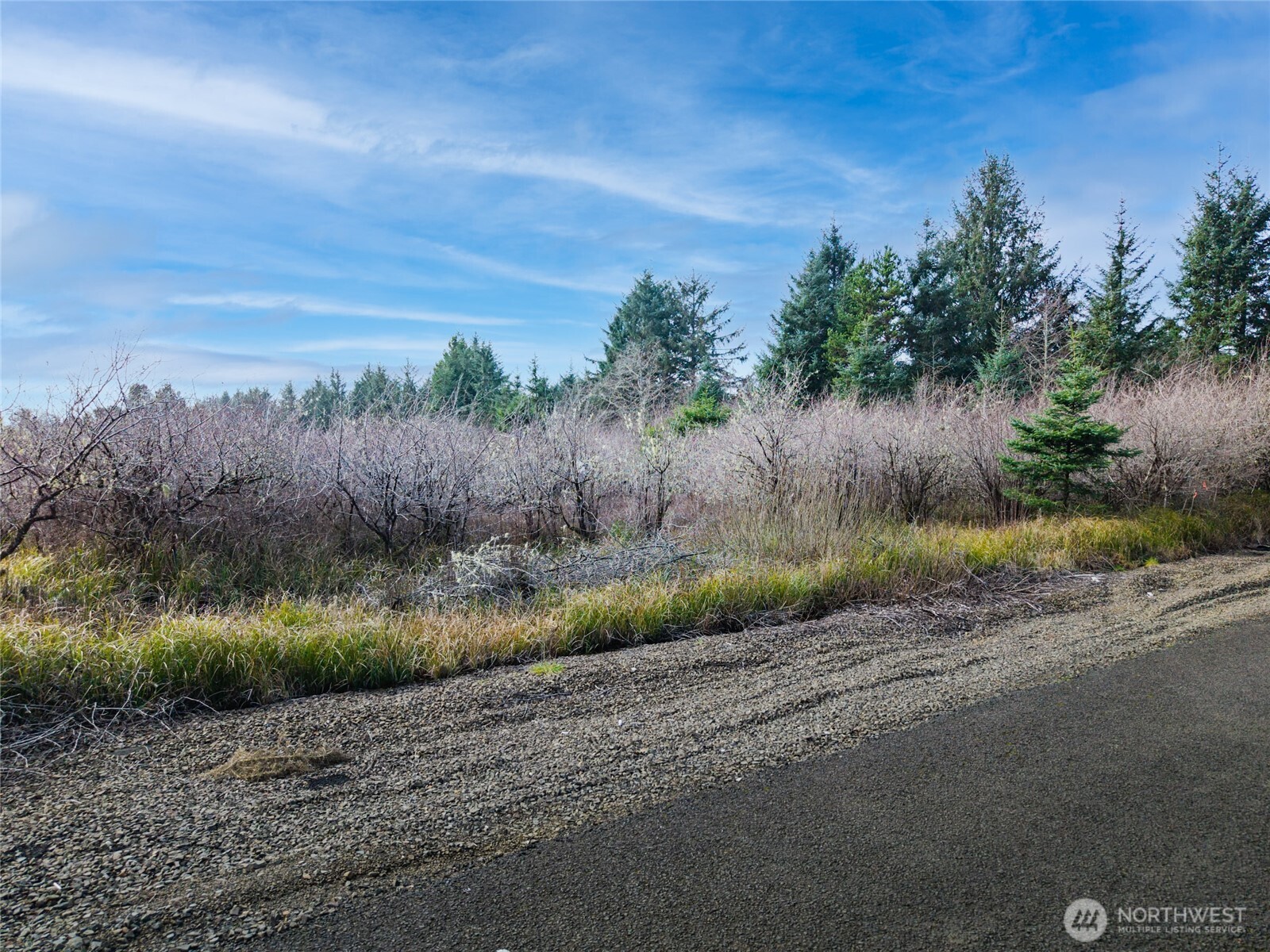 1610 147th Place , Long Beach, WA 98631