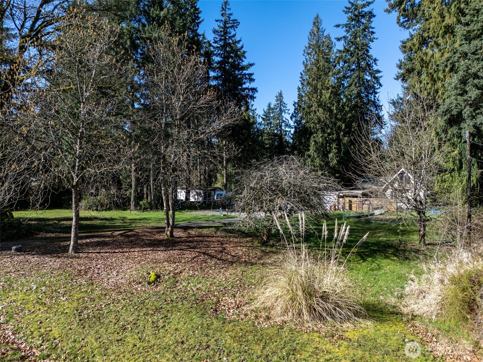 14508 50th Avenue E, Tacoma, WA 98446