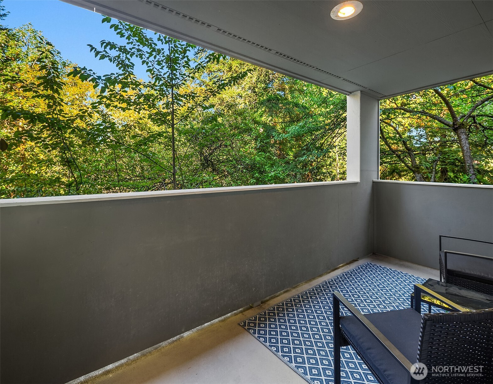 17417 Ashworth Avenue N #203, Shoreline, WA 98133