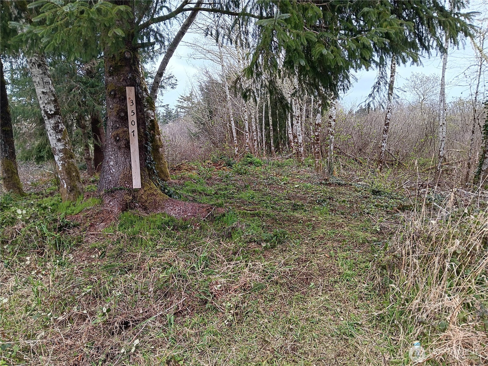 3507 102nd Street , Long Beach, WA 98640