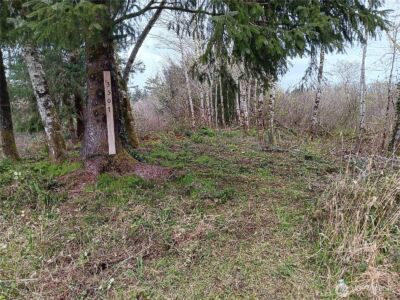 3507 102nd Street , Long Beach, WA 98640 - Photo 1