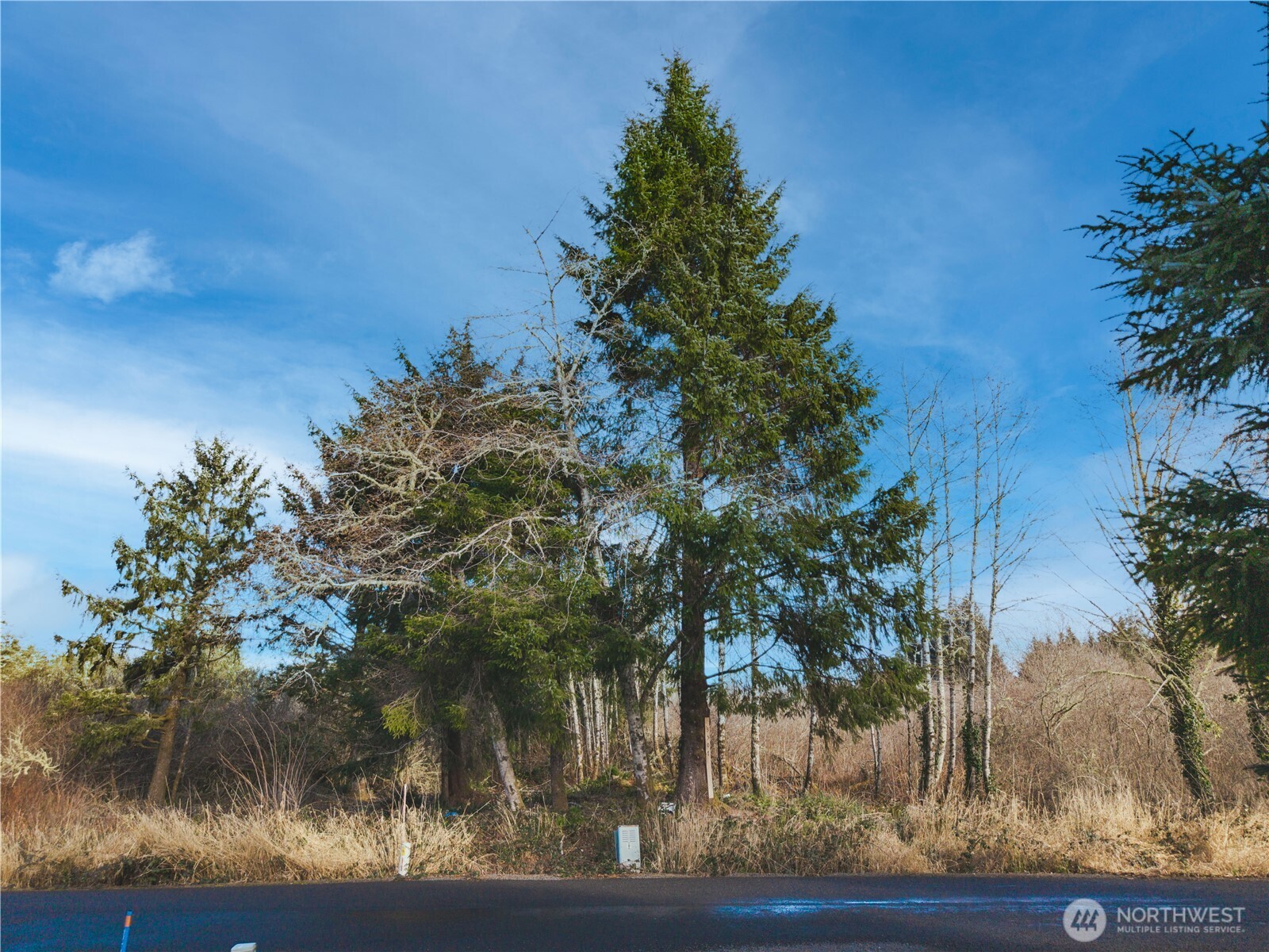 3507 102nd Street , Long Beach, WA 98640