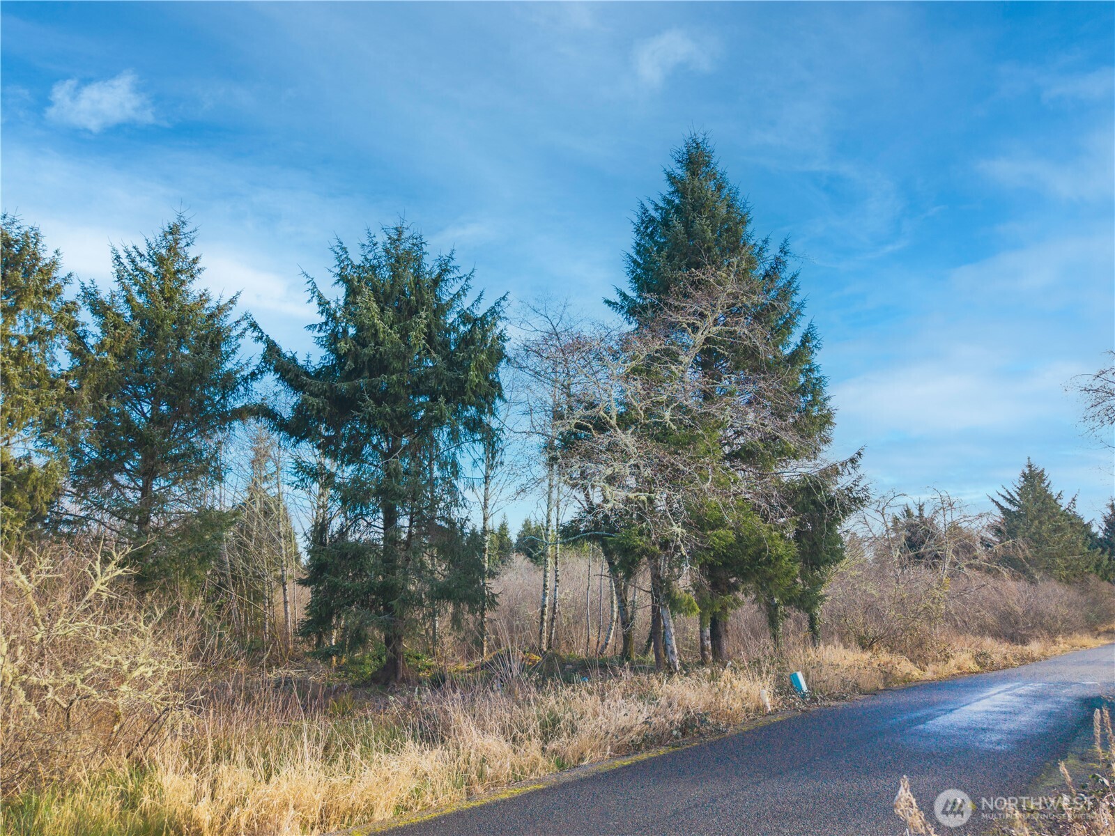 3507 102nd Street , Long Beach, WA 98640