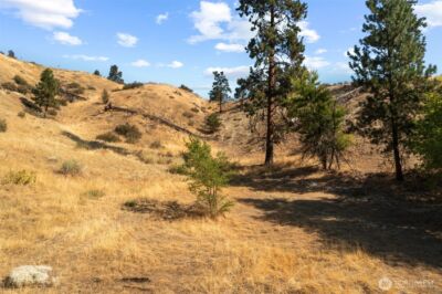 5177 Woodring Canyon Road , Cashmere, WA 98815 - Photo 39