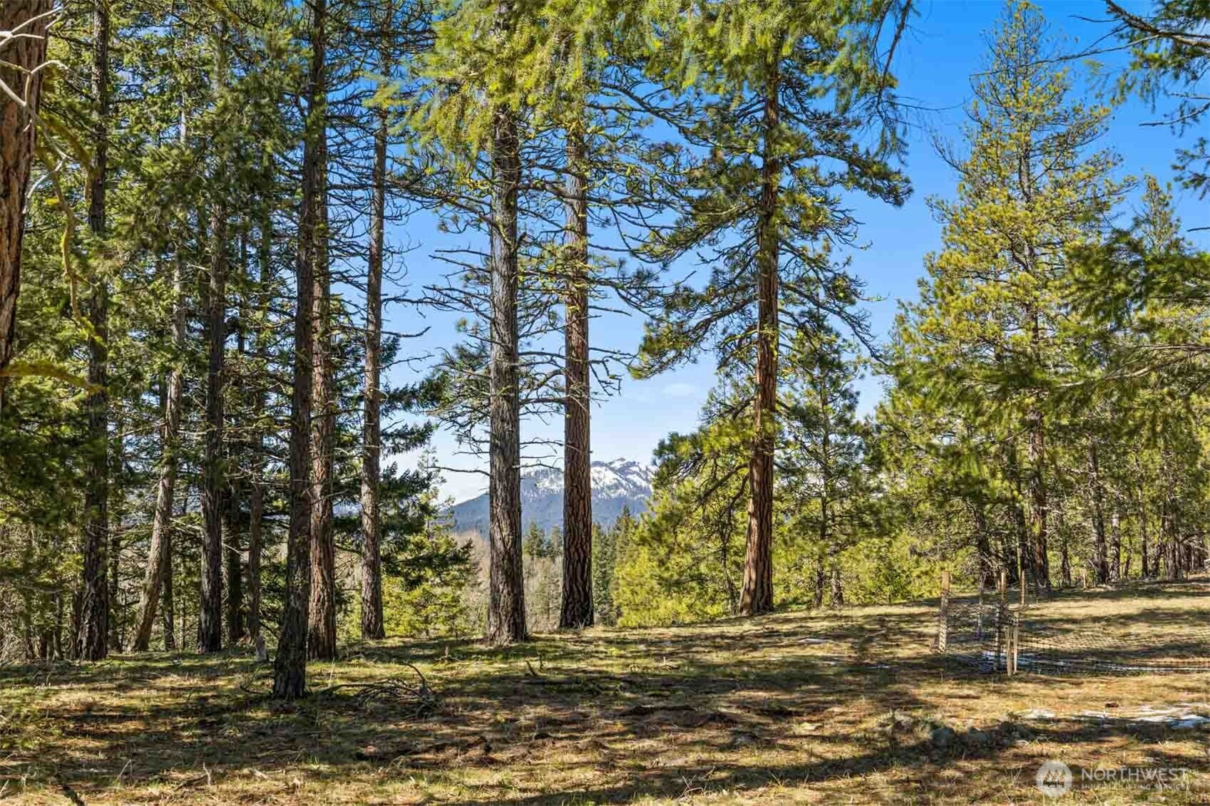 36 Wanawish Loop , Cle Elum, WA 98922