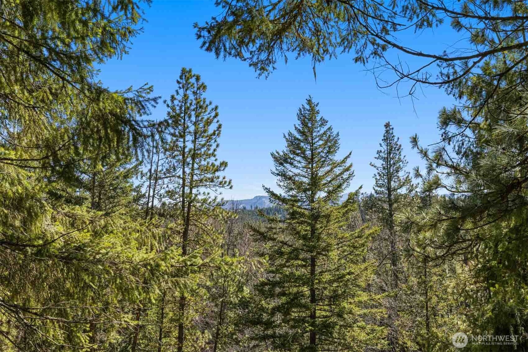 36 Wanawish Loop , Cle Elum, WA 98922