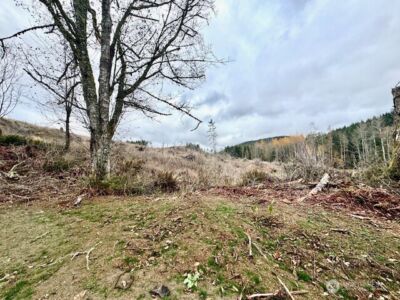 20943 Scout Camp Lane , Mount Vernon, WA 98274 - Photo 18