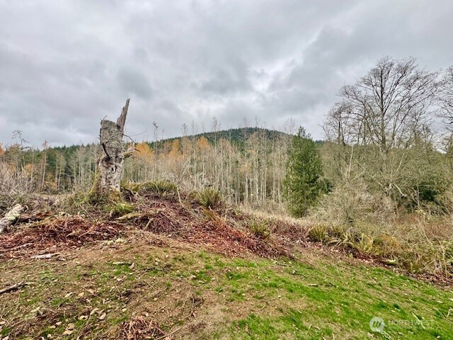 20943 Scout Camp Lane , Mount Vernon, WA 98274