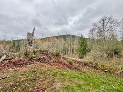 20943 Scout Camp Lane , Mount Vernon, WA 98274 - Photo 19