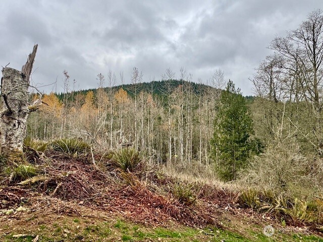 20943 Scout Camp Lane , Mount Vernon, WA 98274