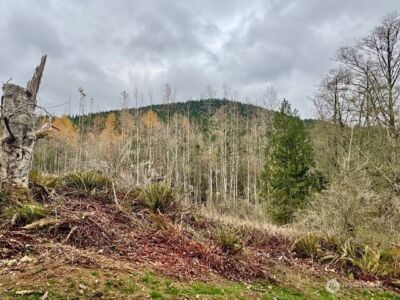 20943 Scout Camp Lane , Mount Vernon, WA 98274 - Photo 20