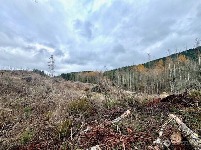 20943 Scout Camp Lane , Mount Vernon, WA 98274