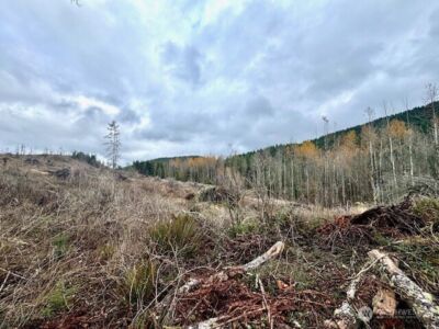 20943 Scout Camp Lane , Mount Vernon, WA 98274 - Photo 21