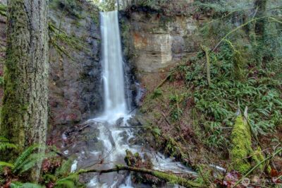 20943 Scout Camp Lane , Mount Vernon, WA 98274 - Photo 24