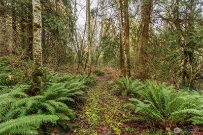 211 S Barr Road , Port Angeles, WA 98362 - Photo 6