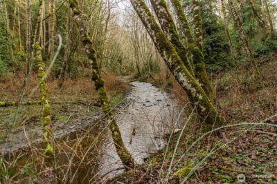 211 S Barr Road , Port Angeles, WA 98362 - Photo 8