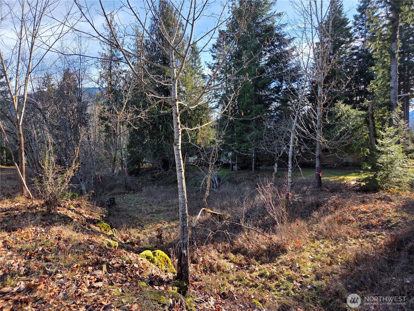0 Lot 12 Slalom Way , Packwood, WA 98361