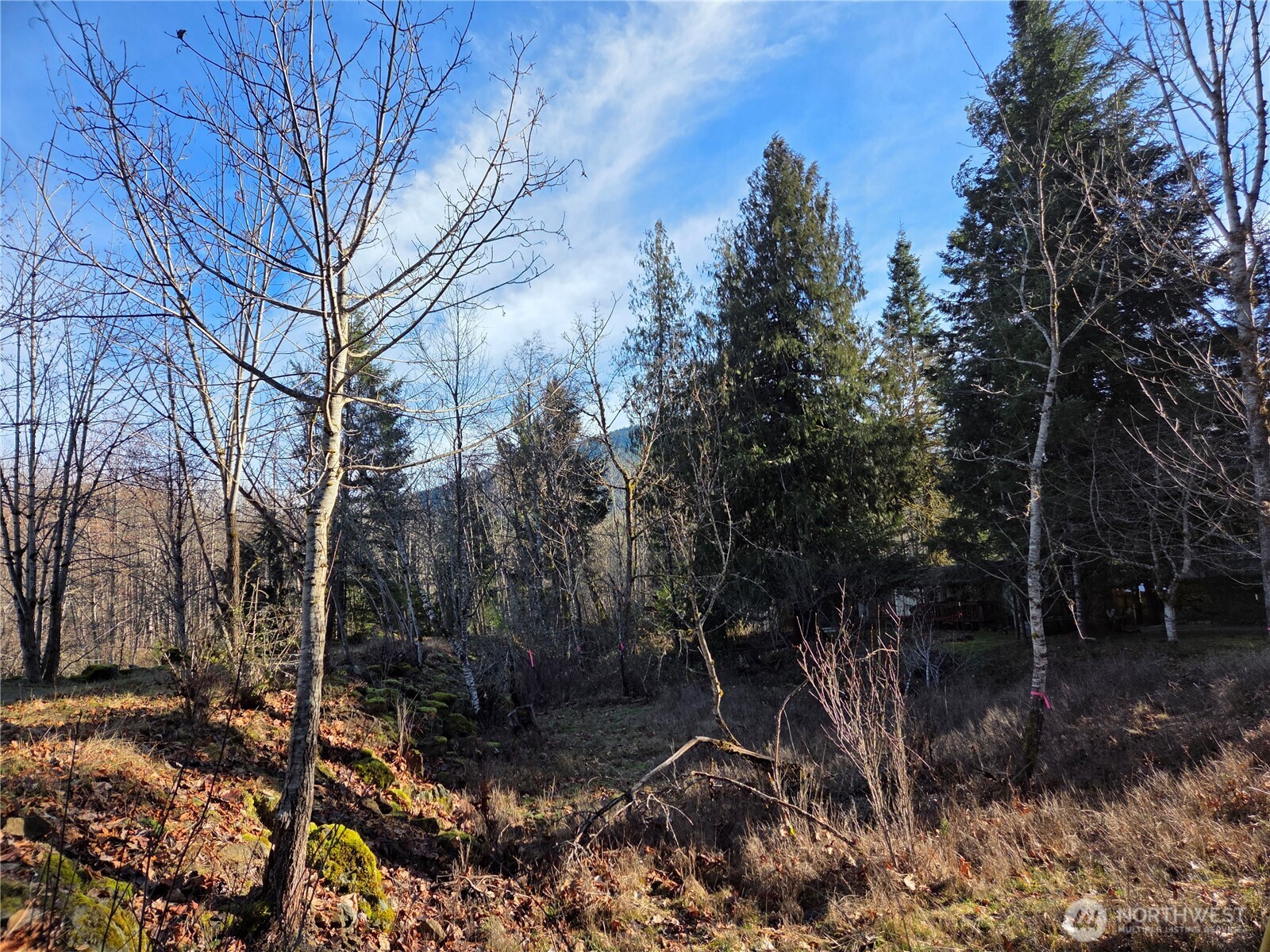 0 Lot 12 Slalom Way , Packwood, WA 98361