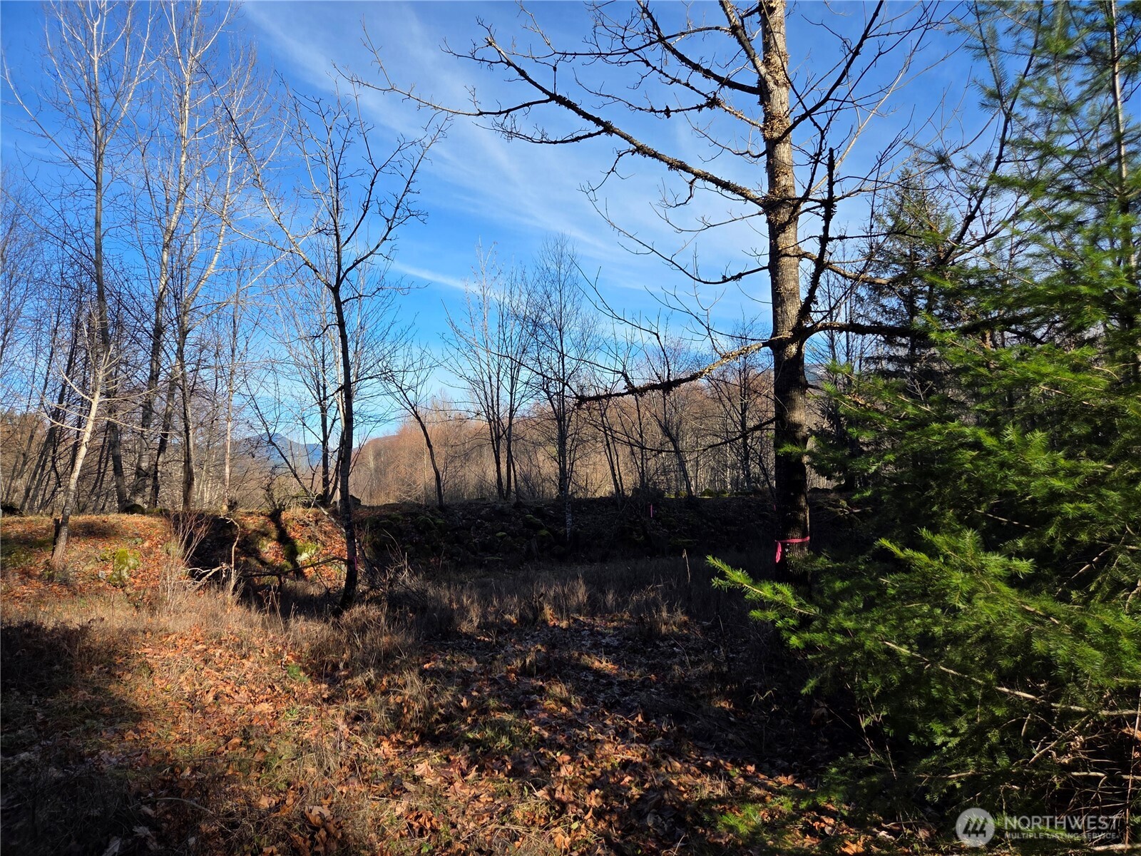 0 Lot 12 Slalom Way , Packwood, WA 98361