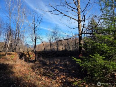 0 Lot 12 Slalom Way , Packwood, WA 98361 - Photo 3