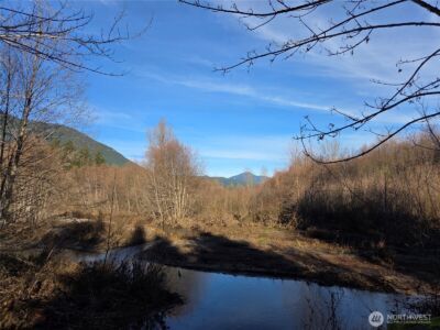 0 Lot 12 Slalom Way , Packwood, WA 98361 - Photo 4