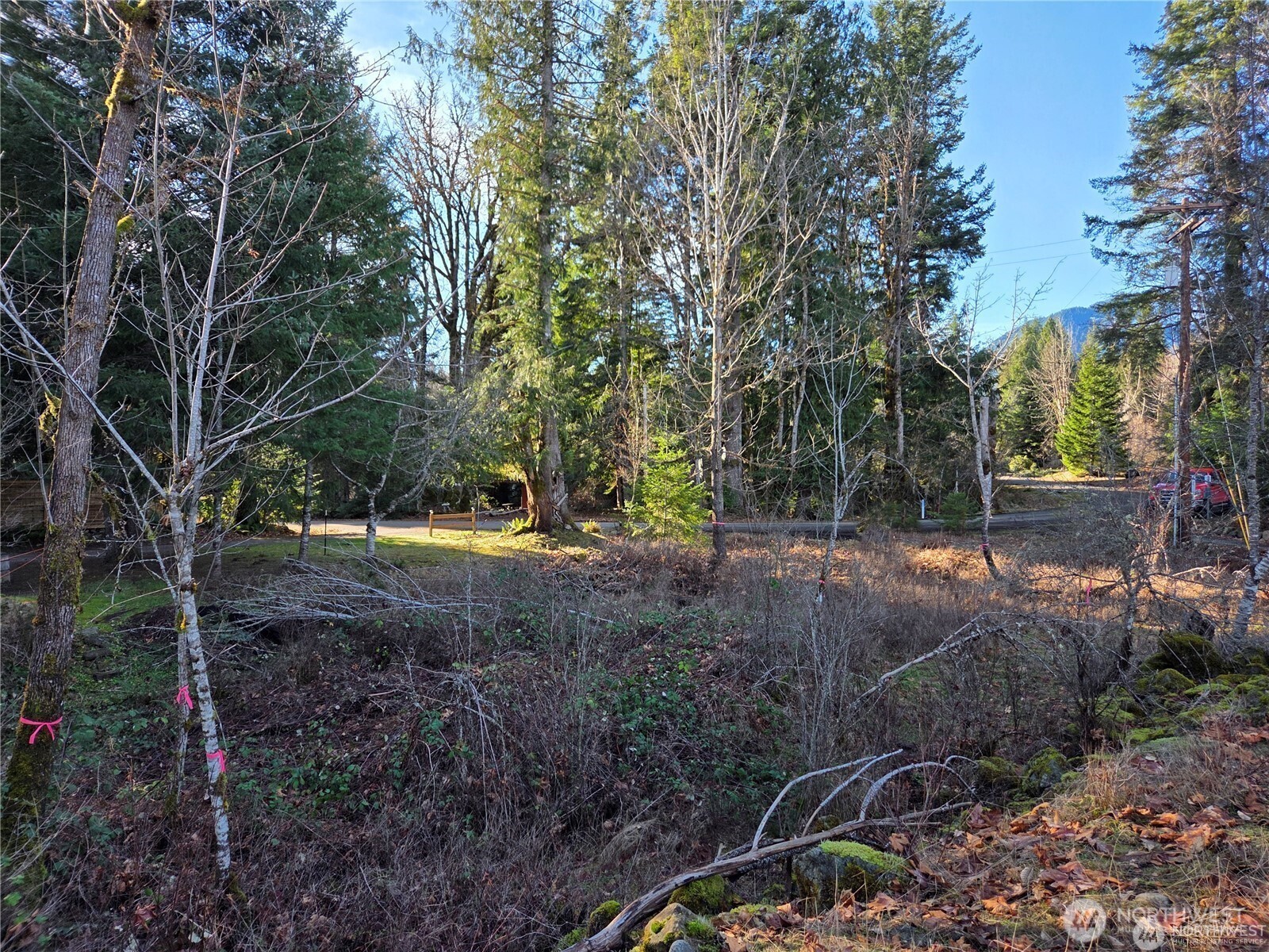 0 Lot 12 Slalom Way , Packwood, WA 98361