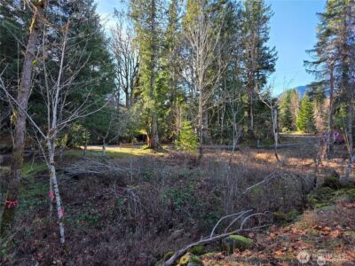 0 Lot 12 Slalom Way , Packwood, WA 98361 - Photo 5