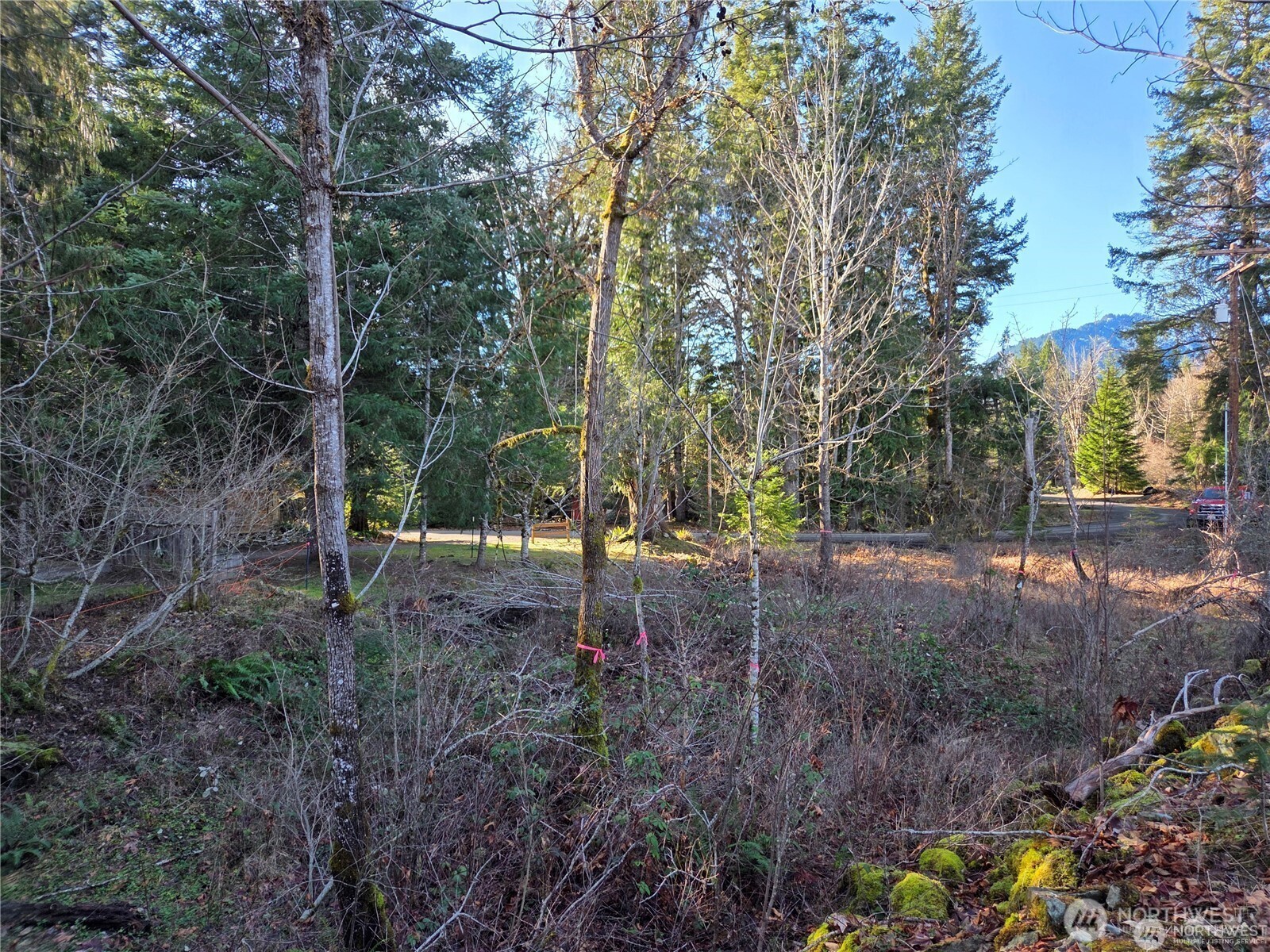 0 Lot 12 Slalom Way , Packwood, WA 98361