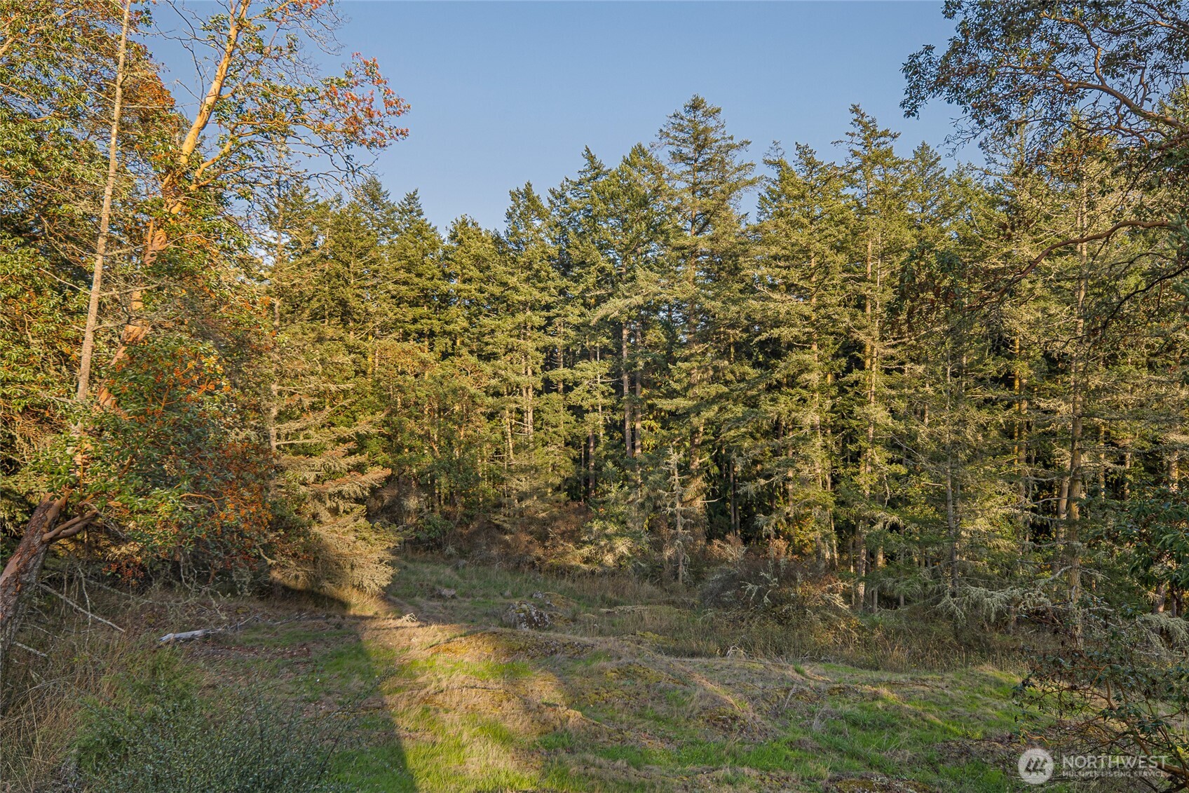 492 Finnegan Ridge #2, Friday Harbor, WA 98250