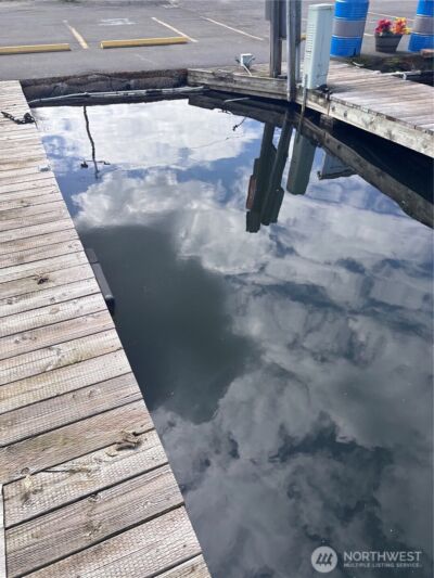 9050 Seward Park Avenue S #91, Seattle, WA 98118 - Photo 16