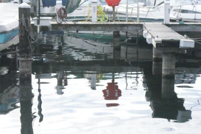 9050 Seward Park Avenue S #29, Seattle, WA 98118 - Photo 12