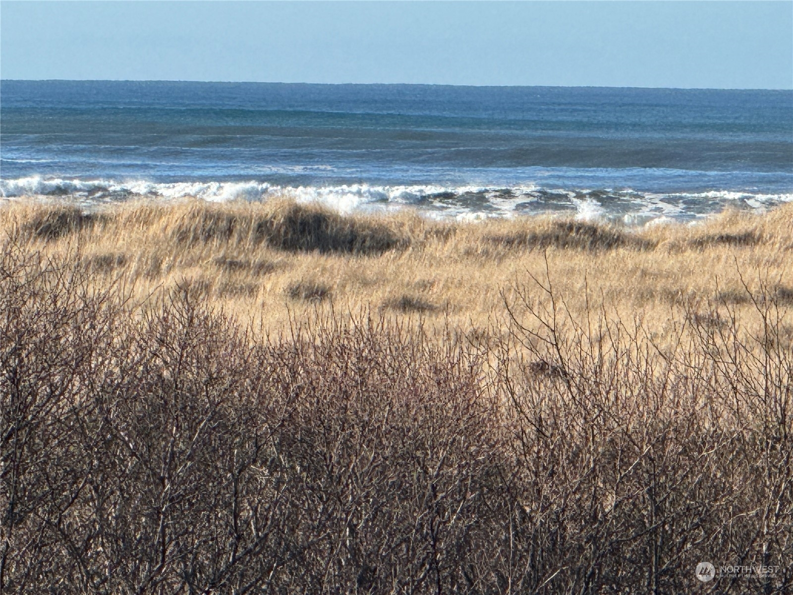 7 Ocean Lane , Copalis Beach, WA 98535