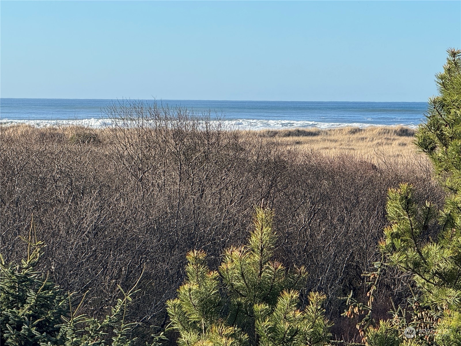 7 Ocean Lane , Copalis Beach, WA 98535