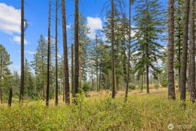 371 Eastgate Road , Cle Elum, WA 98922 - Photo 30