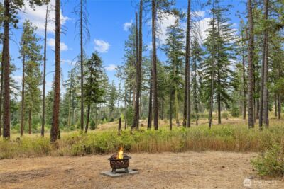 371 Eastgate Road , Cle Elum, WA 98922 - Photo 3