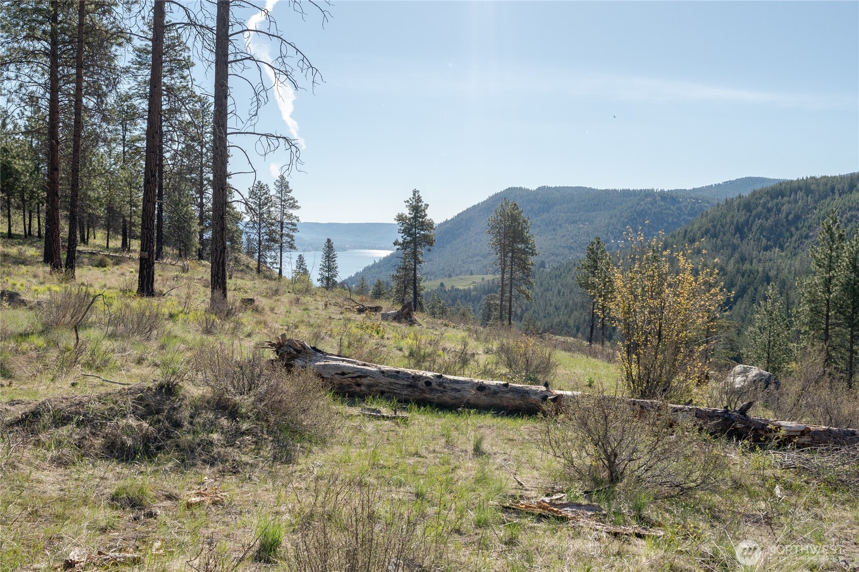 241 Chickadee Mountain Lane , Chelan, WA 98816